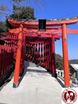IMG_9230 (Copy)