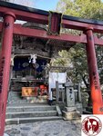IMG_9244 (Copy)