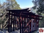 IMG_9250 (Copy)