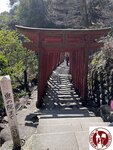 IMG_9256 (Copy)