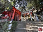 IMG_9259 (Copy)