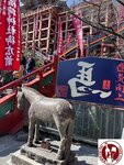 IMG_9186 (Copy)