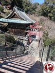 IMG_9197 (Copy)
