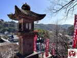 IMG_9199 (Copy)