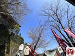 IMG_9206 (Copy)