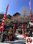 IMG_9277 (Copy)