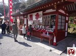 IMG_9628 (Copy)