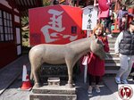 IMG_9630 (Copy)