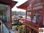 IMG_9633 (Copy)