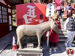 IMG_E9630 (Copy)