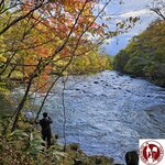 20231022_150218 (Copy)