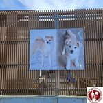 20231024_110412 (Copy)