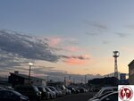 IMG_0263 (Copy)