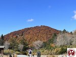 IMG_0484 (Copy)