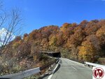 IMG_0485 (Copy)
