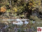 IMG_0489 (Copy)
