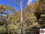 IMG_0490 (Copy)