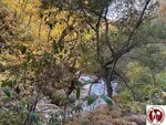IMG_0491 (Copy)