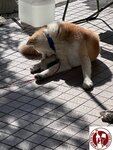 IMG_0538 (Copy)