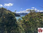 IMG_0497 (Copy)