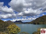 IMG_0502 (Copy)