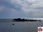 IMG_0131 (Copy)