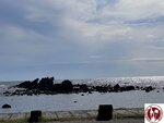 IMG_0133 (Copy)
