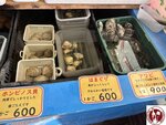 IMG_9325 (Copy)