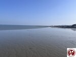 IMG_9347 (Copy)