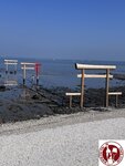 IMG_9290 (Copy)