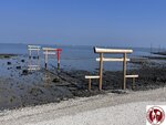IMG_9291 (Copy)