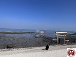 IMG_9294 (Copy)