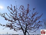 IMG_9304 (Copy)