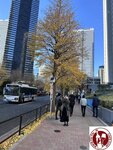 IMG_5148 (Copy)