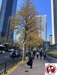 IMG_5149 (Copy)