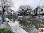 IMG_8990 (Copy)
