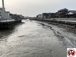 IMG_9011 (Copy)