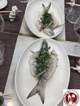 IMG_4908 (Copy)