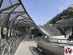 IMG_2474 (Copy)