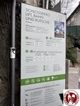 IMG_2630 (Copy)