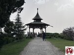 IMG_2654 (Copy)
