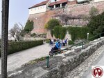 IMG_2650 (Copy)