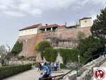 IMG_2651 (Copy)