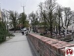 IMG_2677 (Copy)