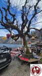 20240331_161207 (Copy)