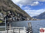 IMG_2311 (Copy)