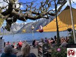 IMG_2337 (Copy)