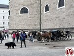 IMG_2077 (Copy)