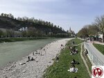 IMG_1868 (Copy)