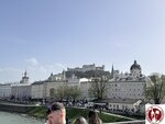 IMG_1875 (Copy)